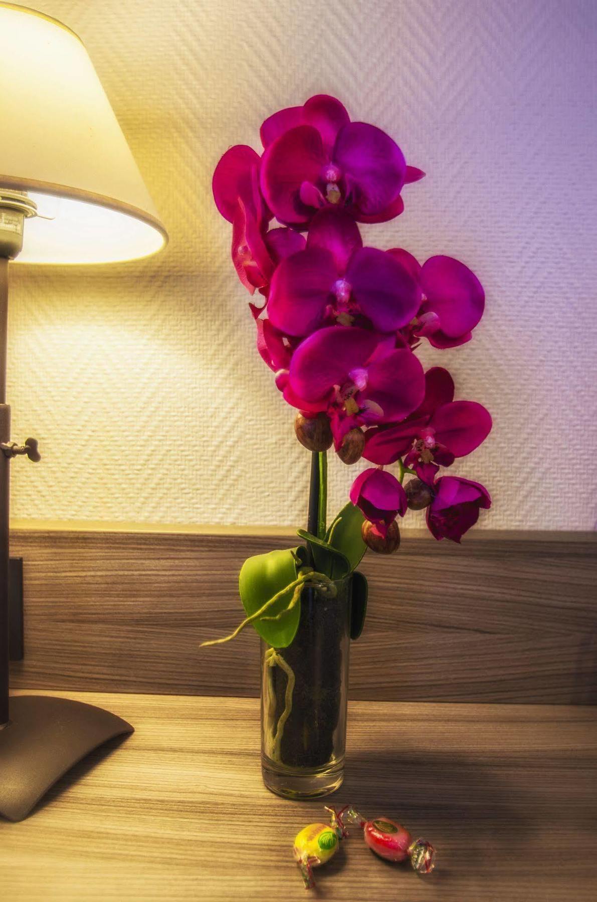 Hotel Prado Avec Parking - Proche Zenith Toulouse Eksteriør billede